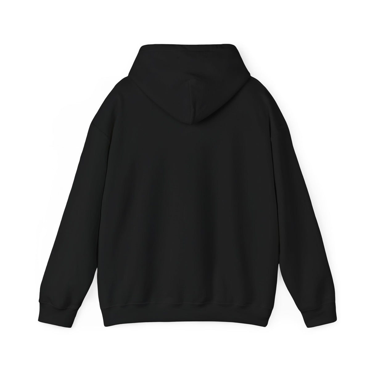 H1N4 Hoodie | Let’s go to our promised future together.