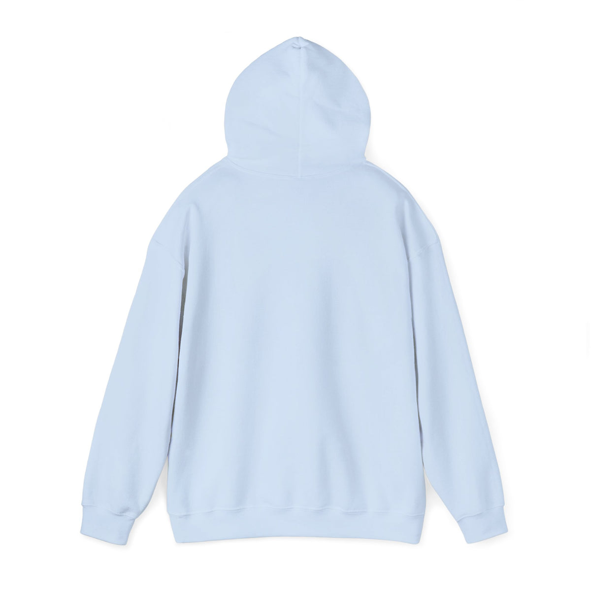 H1N4 Hoodie | Let’s go to our promised future together.