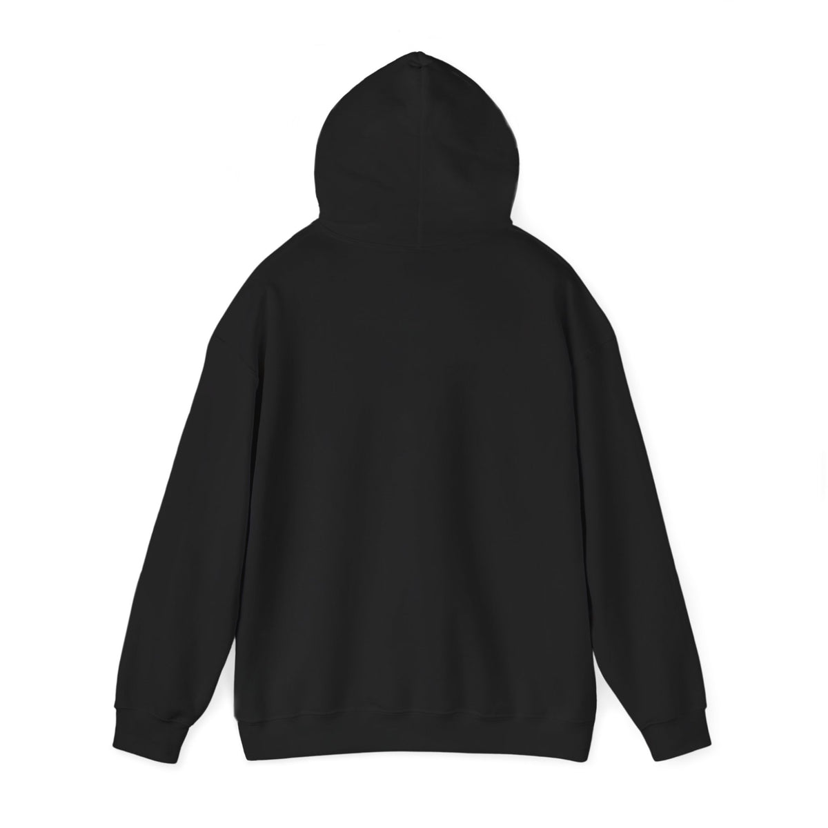 H1N4 Hoodie | Let’s go to our promised future together.