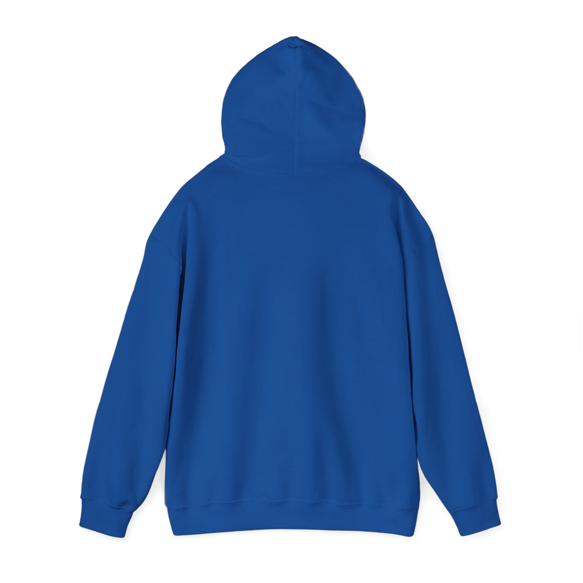 H1N4 Hoodie | Let’s go to our promised future together.