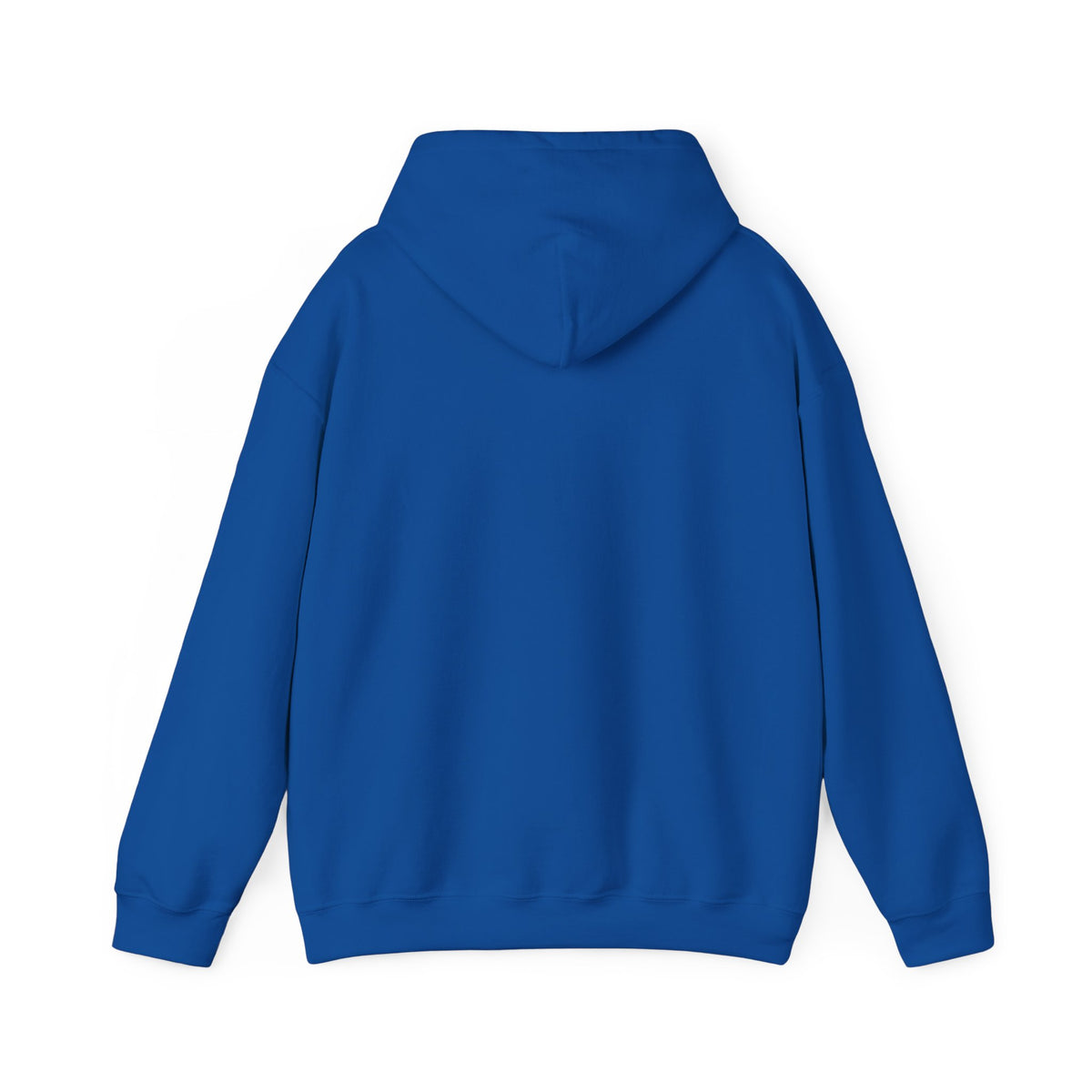 H1N4 Hoodie | Let’s go to our promised future together.